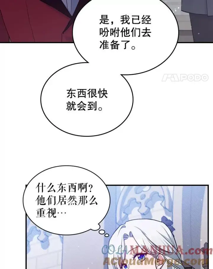 《满级公女今天也很无聊》43.皮革和纹样图25
