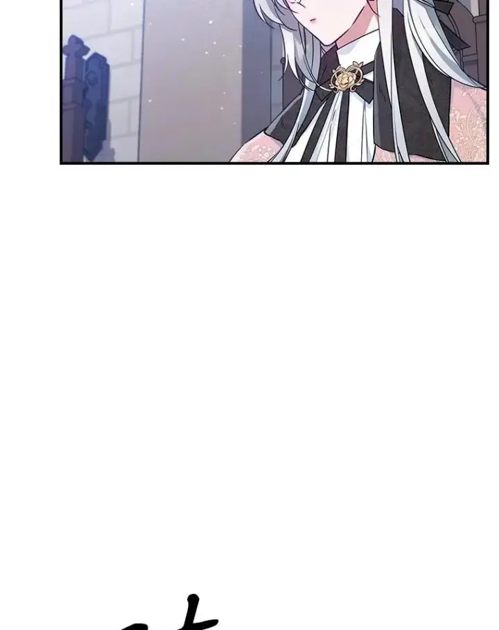 《满级公女今天也很无聊》43.皮革和纹样图26