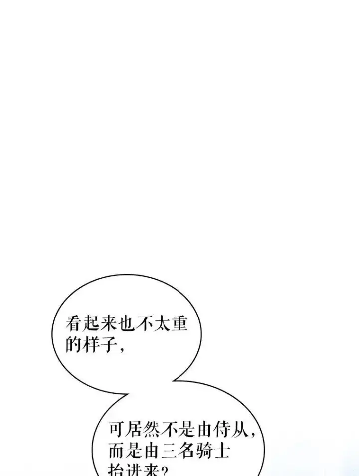 《满级公女今天也很无聊》43.皮革和纹样图29
