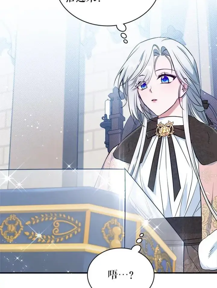 《满级公女今天也很无聊》43.皮革和纹样图30
