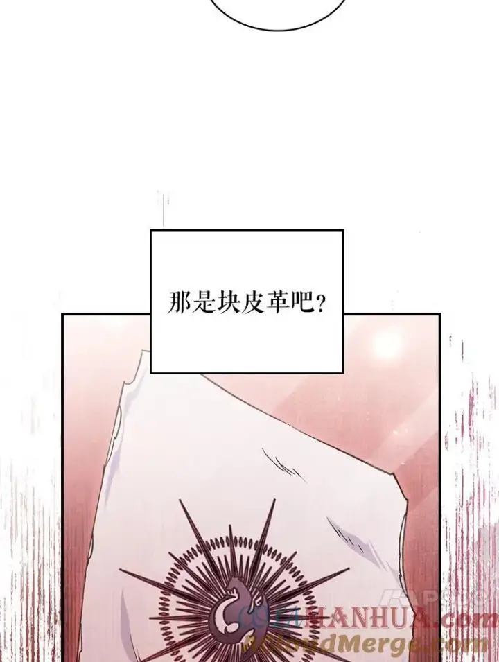 《满级公女今天也很无聊》43.皮革和纹样图31