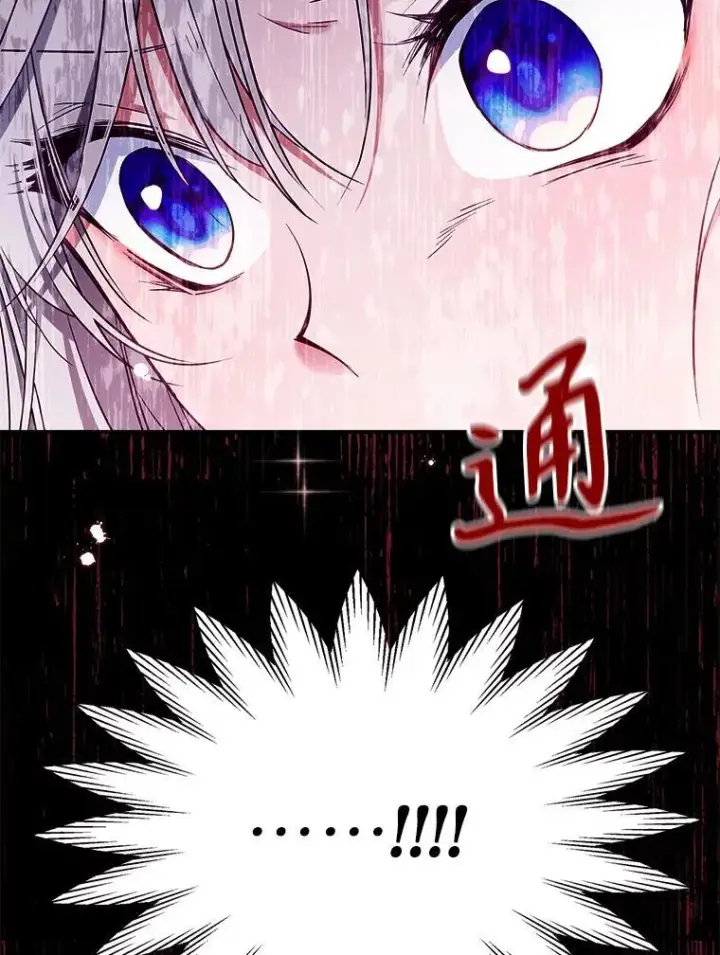 《满级公女今天也很无聊》43.皮革和纹样图33