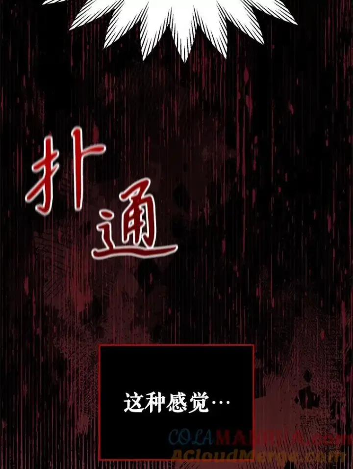 《满级公女今天也很无聊》43.皮革和纹样图34