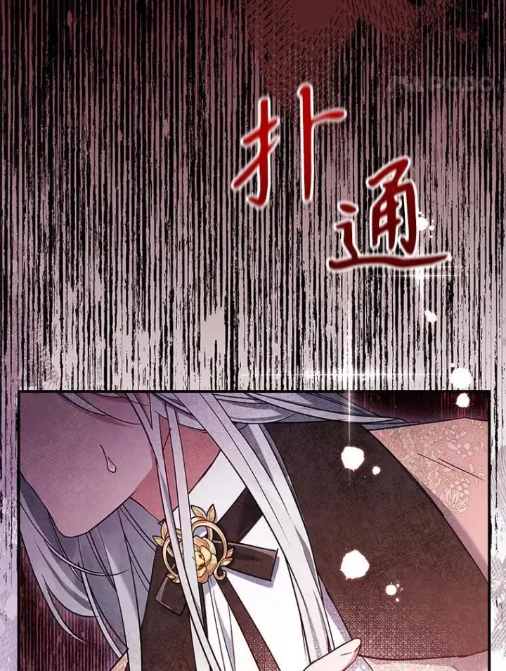 《满级公女今天也很无聊》43.皮革和纹样图35