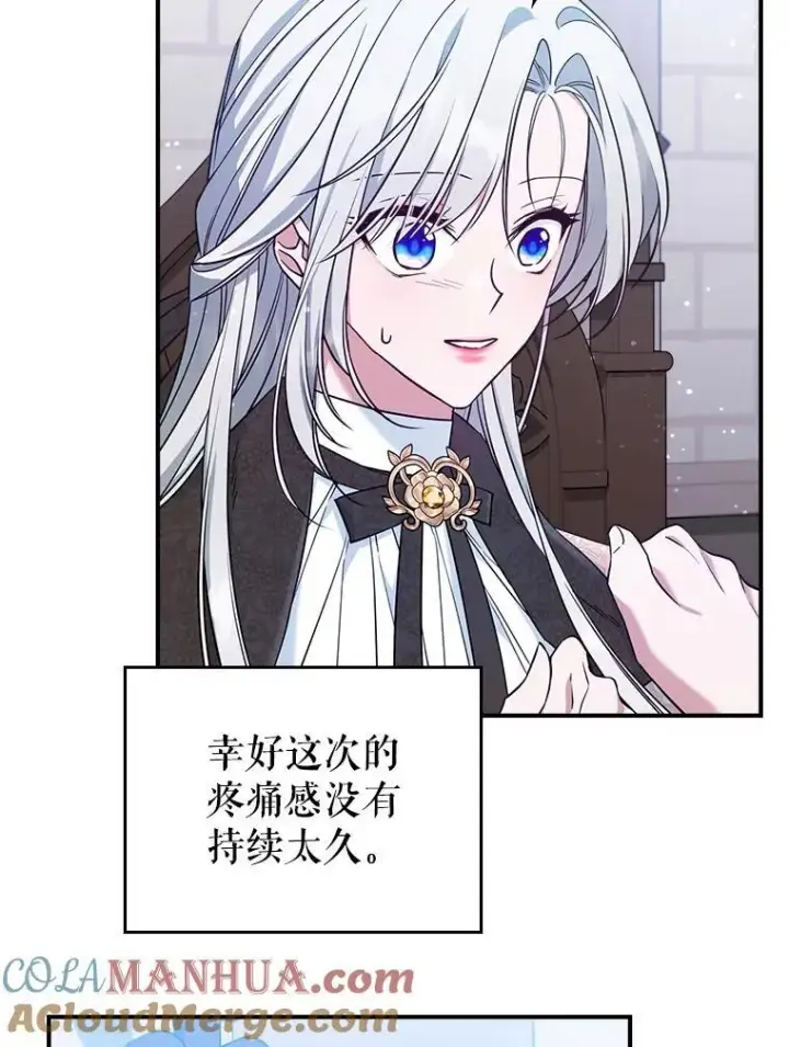 《满级公女今天也很无聊》43.皮革和纹样图40