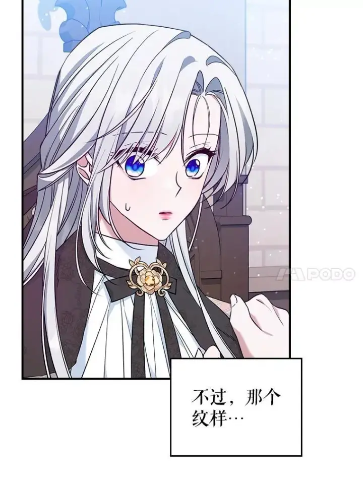 《满级公女今天也很无聊》43.皮革和纹样图41