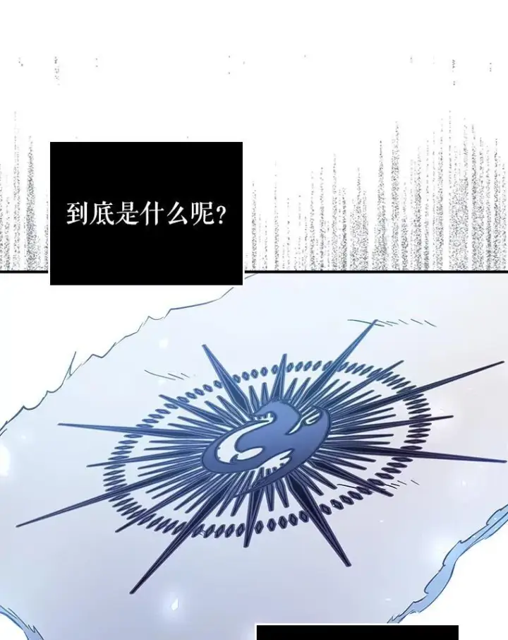 《满级公女今天也很无聊》43.皮革和纹样图42