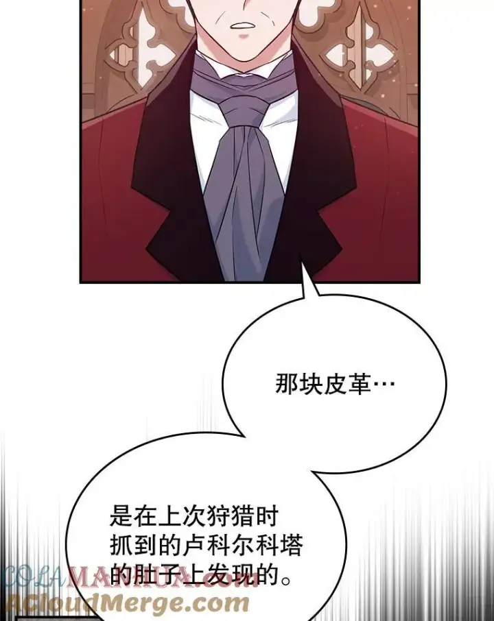 《满级公女今天也很无聊》43.皮革和纹样图46