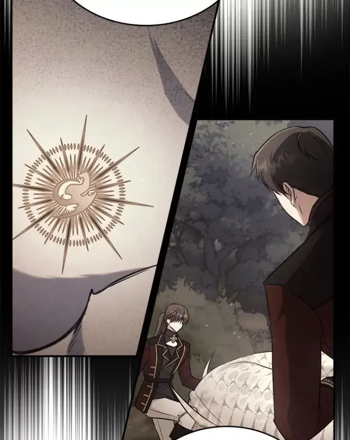 《满级公女今天也很无聊》43.皮革和纹样图47