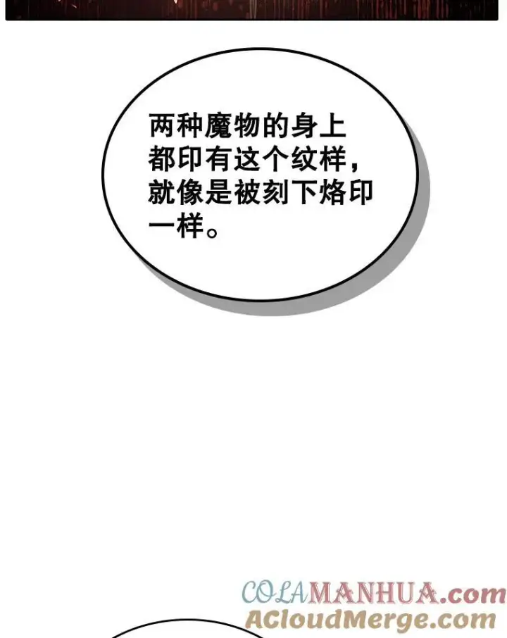 《满级公女今天也很无聊》43.皮革和纹样图49