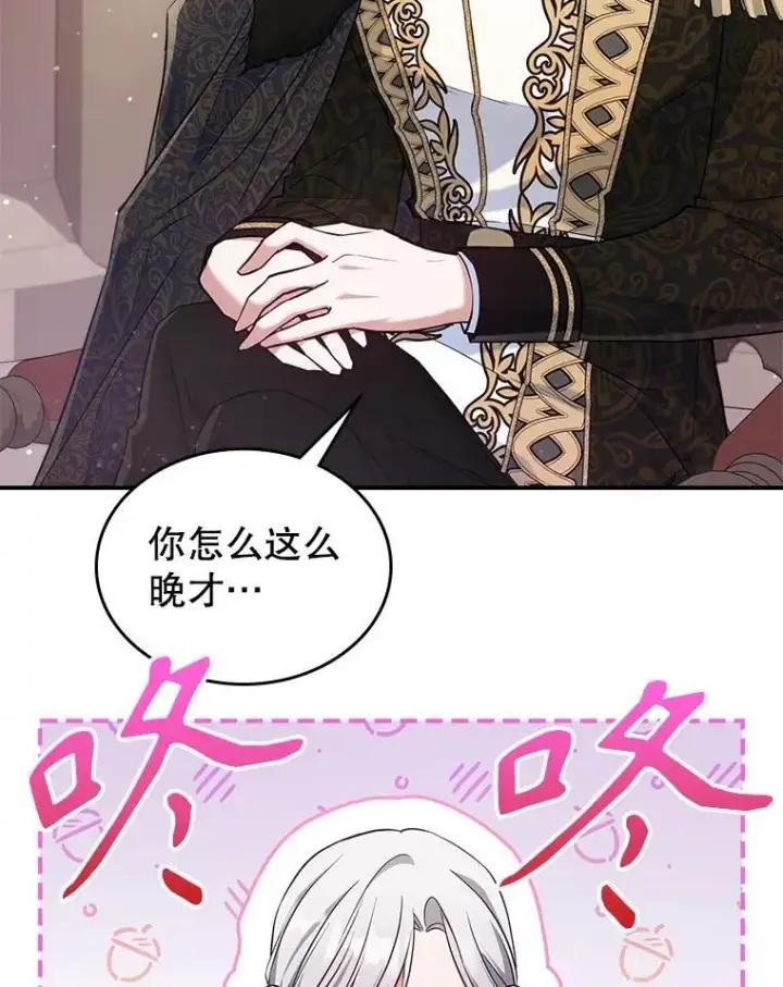 《满级公女今天也很无聊》43.皮革和纹样图5
