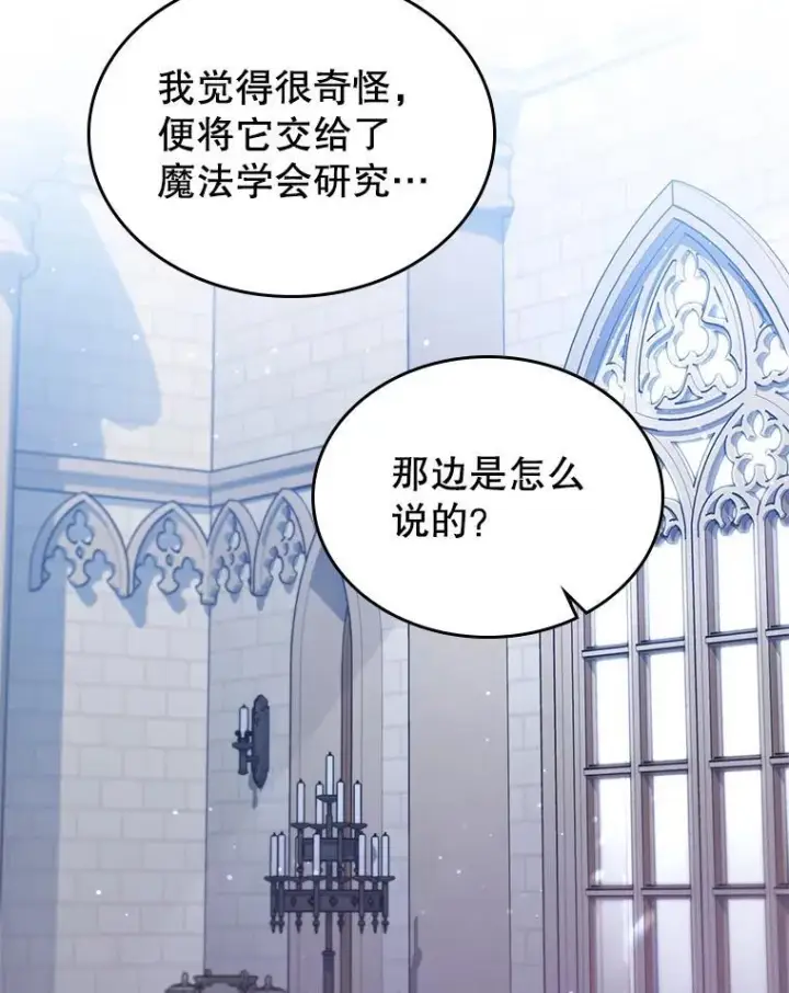 《满级公女今天也很无聊》43.皮革和纹样图50