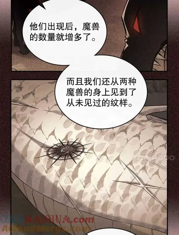 《满级公女今天也很无聊》43.皮革和纹样图61