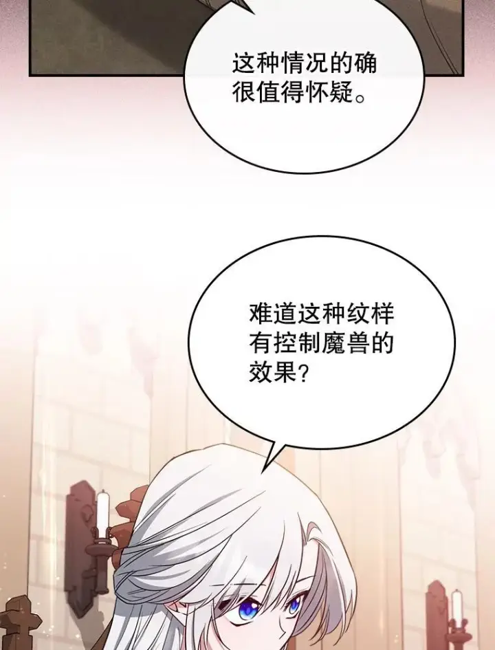 《满级公女今天也很无聊》43.皮革和纹样图62