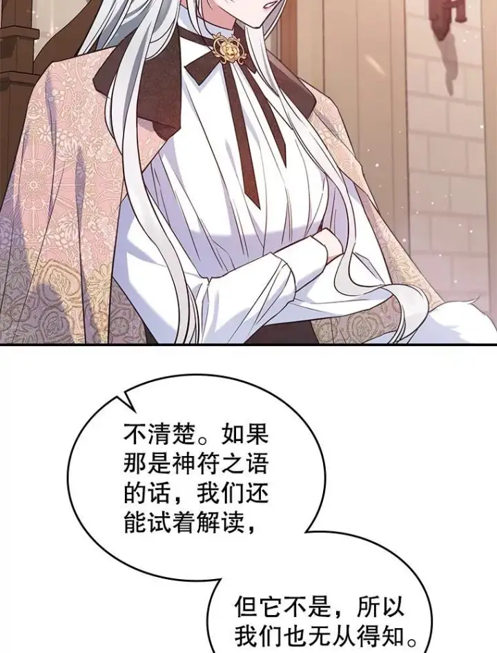 《满级公女今天也很无聊》43.皮革和纹样图63