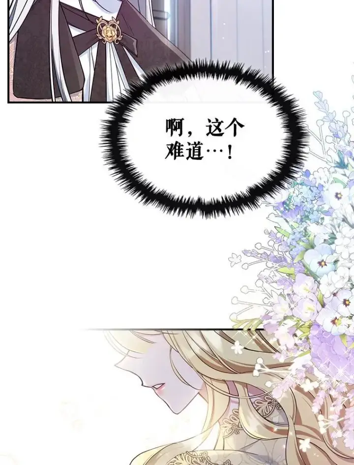 《满级公女今天也很无聊》43.皮革和纹样图66