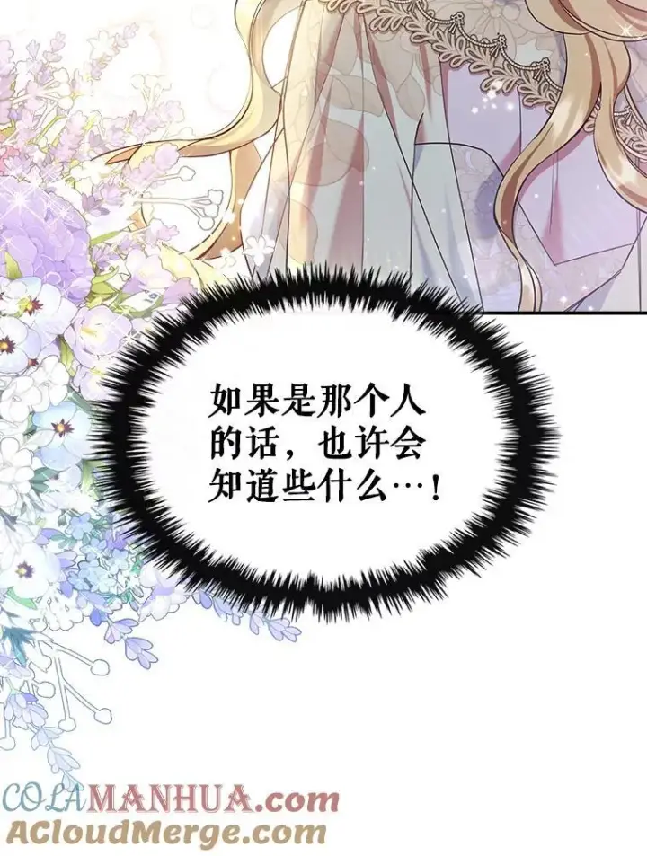 《满级公女今天也很无聊》43.皮革和纹样图67