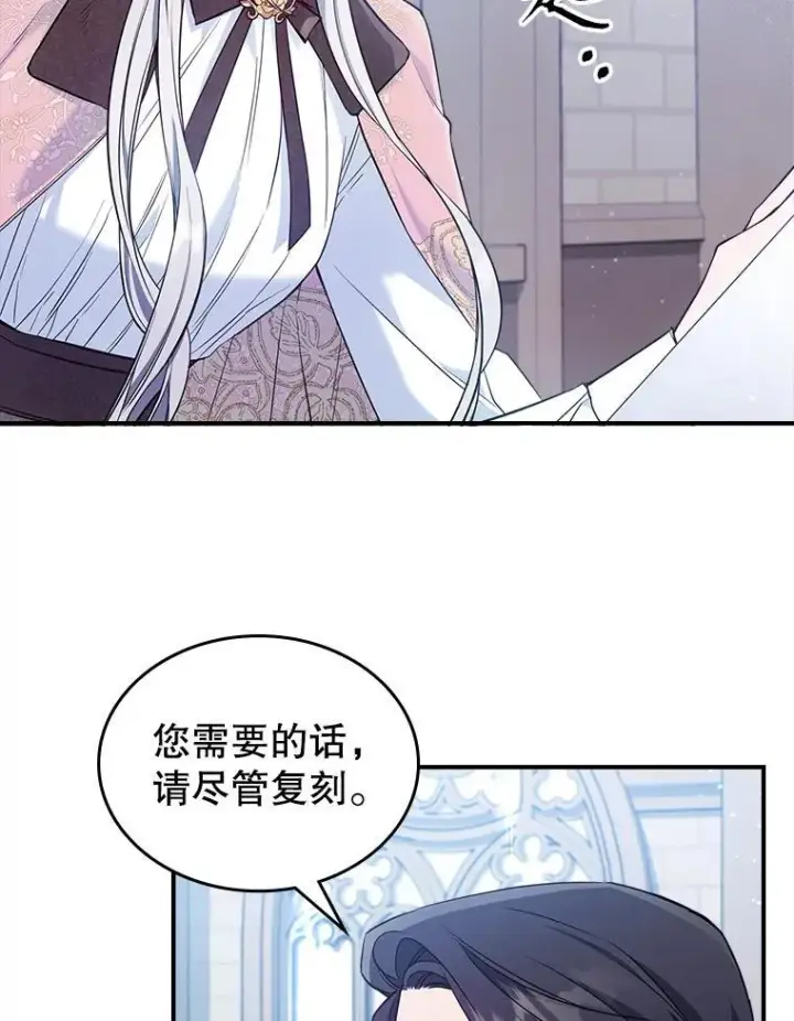 《满级公女今天也很无聊》43.皮革和纹样图69