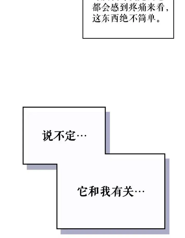 《满级公女今天也很无聊》43.皮革和纹样图77