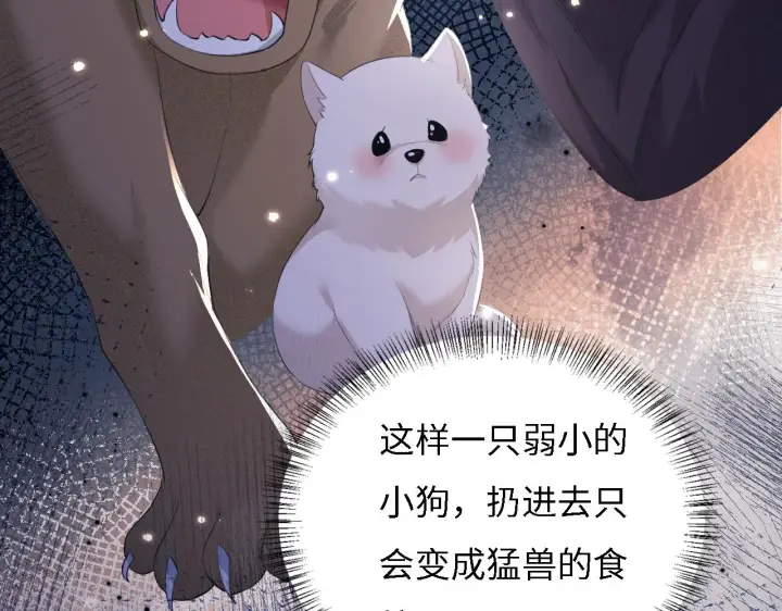 《满级绿茶穿成小可怜》第29话 小狗长耳图62