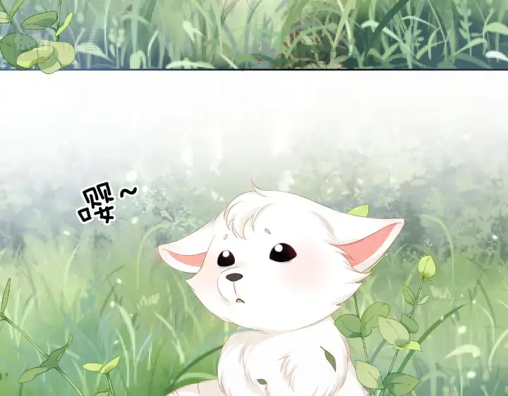 《满级绿茶穿成小可怜》第45话 小白狐图47