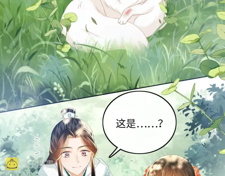 《满级绿茶穿成小可怜》第45话 小白狐图48
