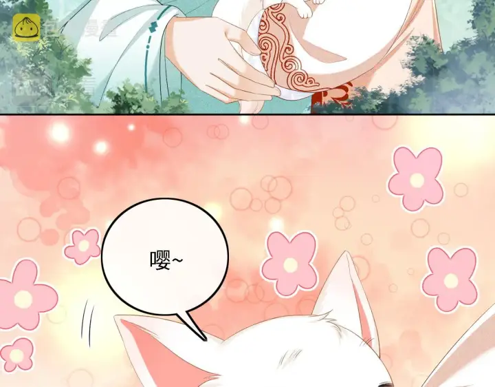 《满级绿茶穿成小可怜》第45话 小白狐图57