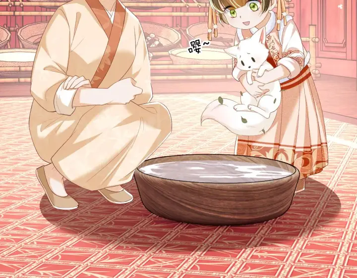 《满级绿茶穿成小可怜》第45话 小白狐图66