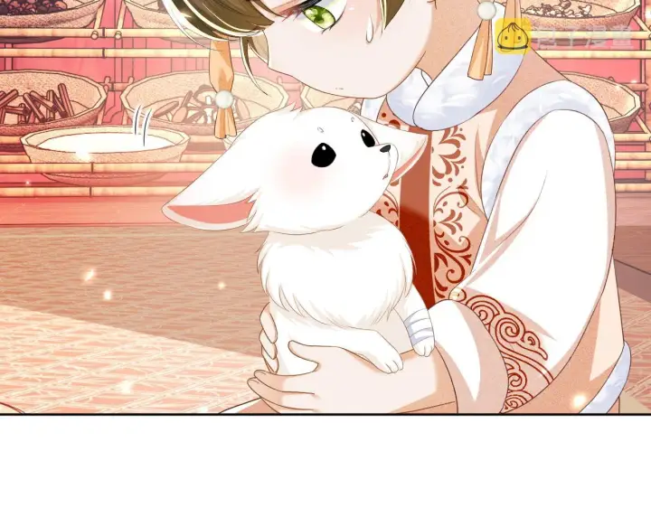 《满级绿茶穿成小可怜》第45话 小白狐图76