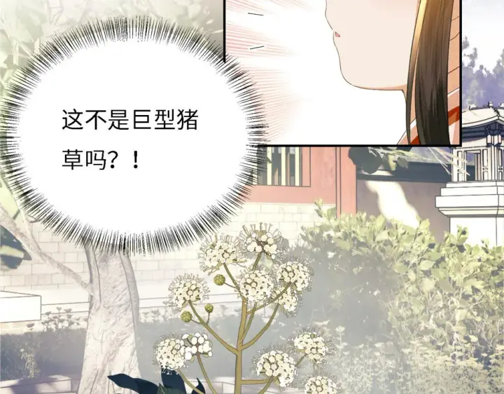 《满级绿茶穿成小可怜》第55话 巨型猪草图29