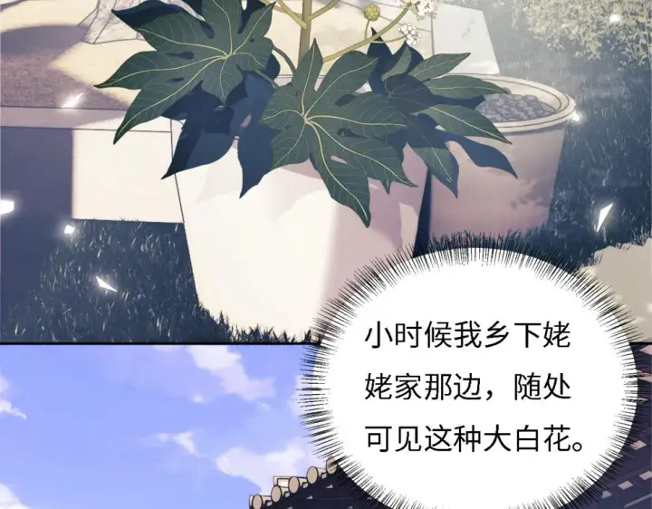 《满级绿茶穿成小可怜》第55话 巨型猪草图30