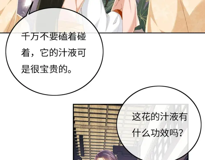 《满级绿茶穿成小可怜》第55话 巨型猪草图47