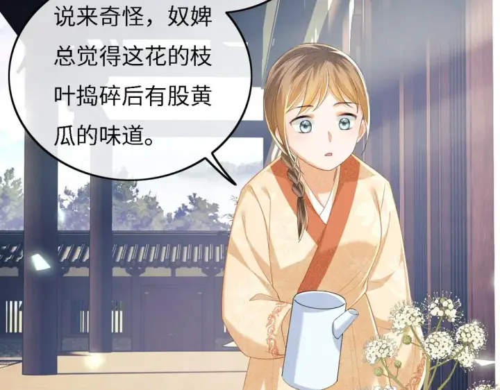 《满级绿茶穿成小可怜》第55话 巨型猪草图68