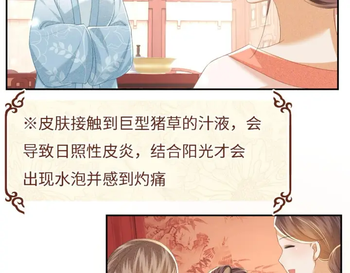 《满级绿茶穿成小可怜》第56话 梅妃毁容图14