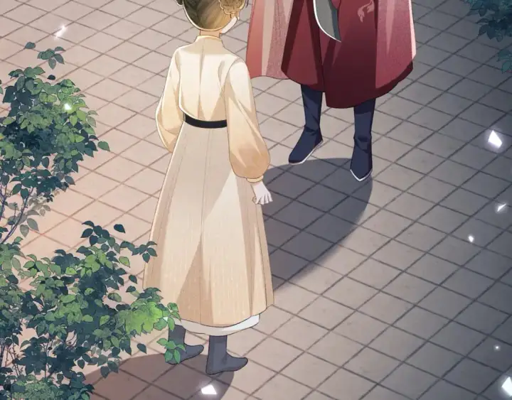 《满级绿茶穿成小可怜》第96话 大皇兄和侠女姐姐图14
