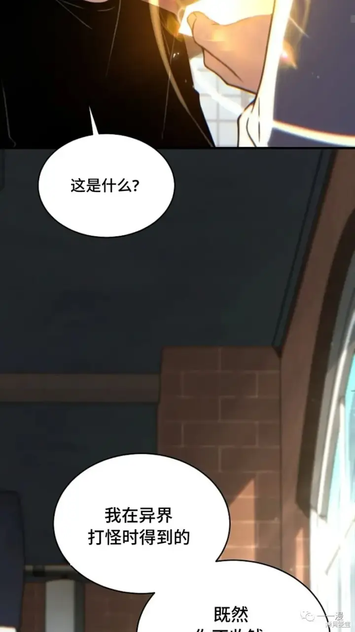 《满级玩家的第100次回归》第20图64