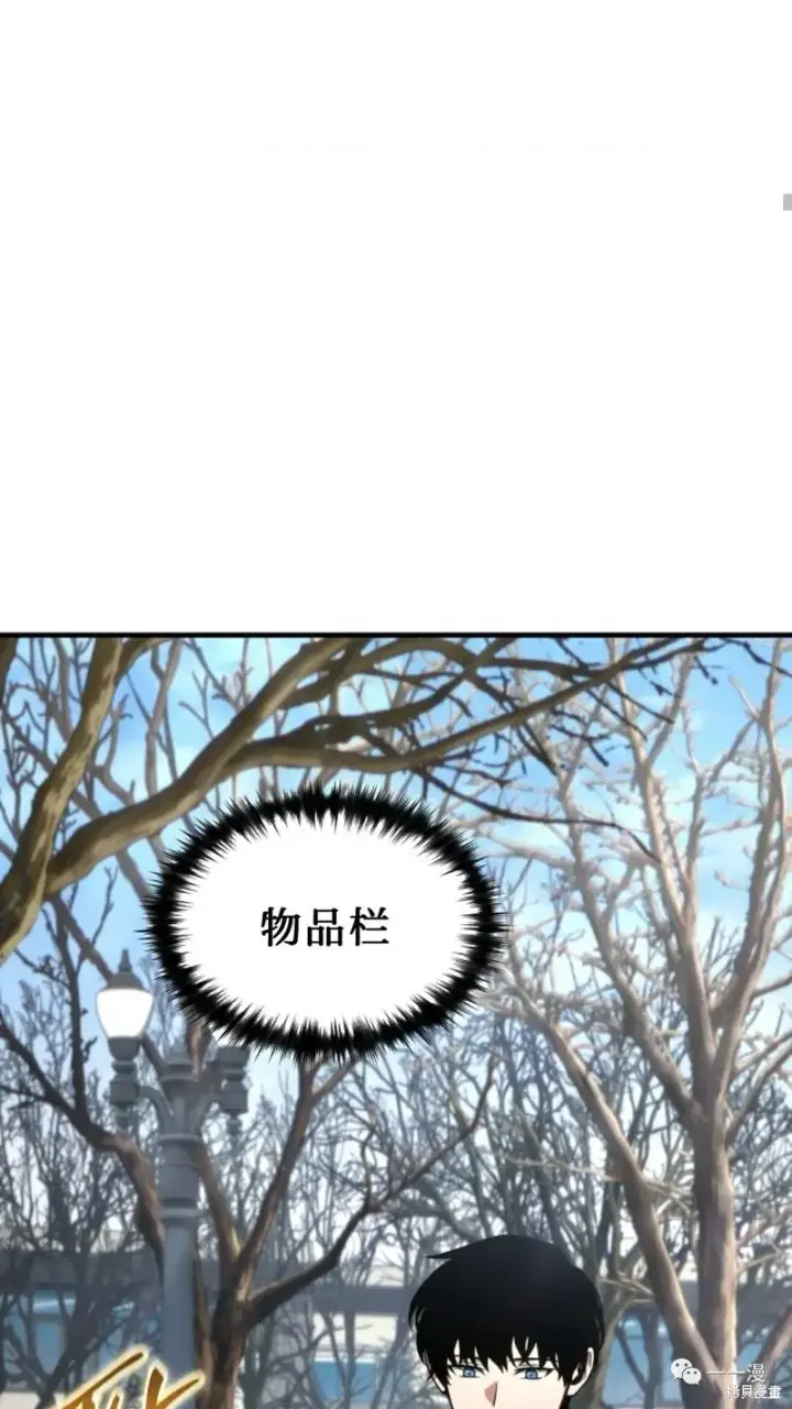 《满级玩家的第100次回归》第20图71