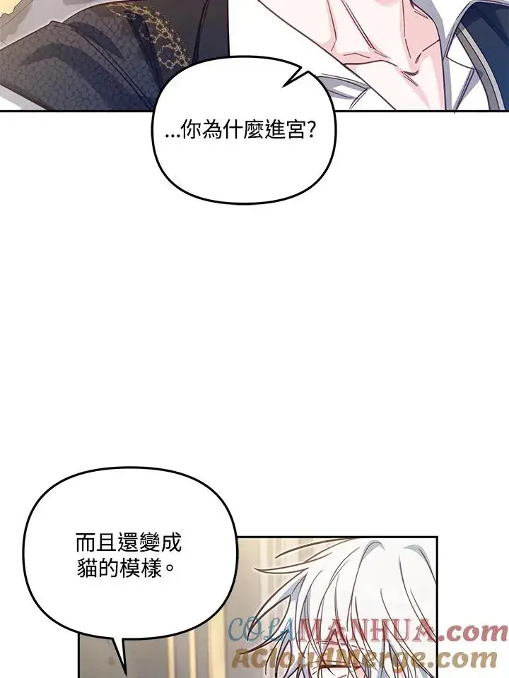 《冒牌皇女的生存之道》第38话图49