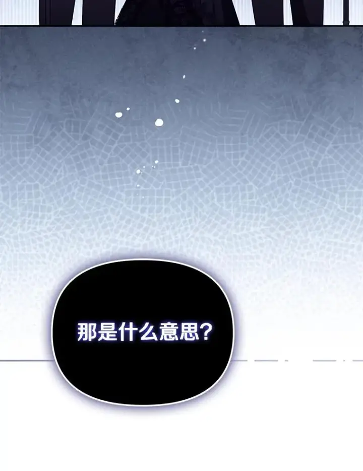 《冒牌皇女的生存之道》65.谁打了谁图100