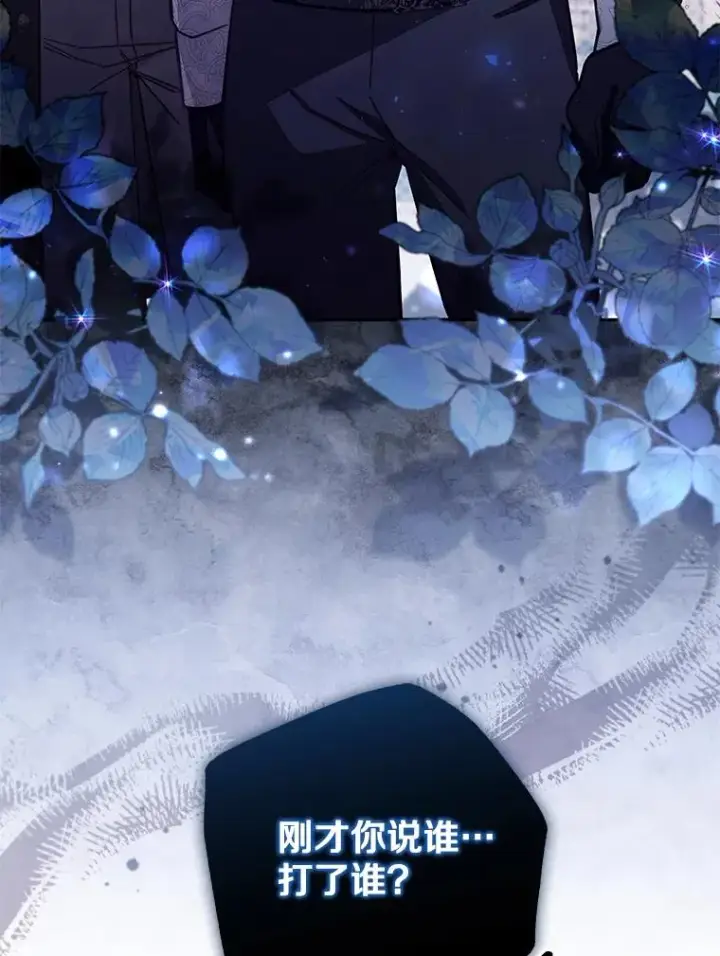 《冒牌皇女的生存之道》65.谁打了谁图104