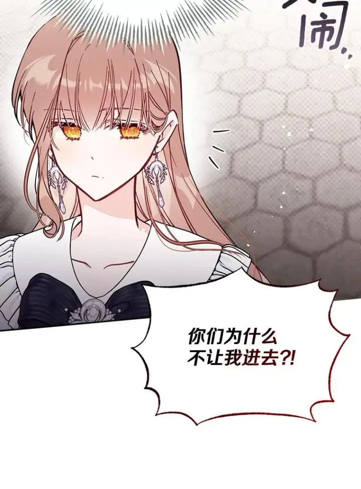 《冒牌皇女的生存之道》65.谁打了谁图87