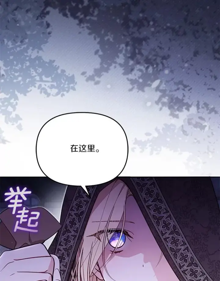 《冒牌皇女的生存之道》66.是谁杀的图68