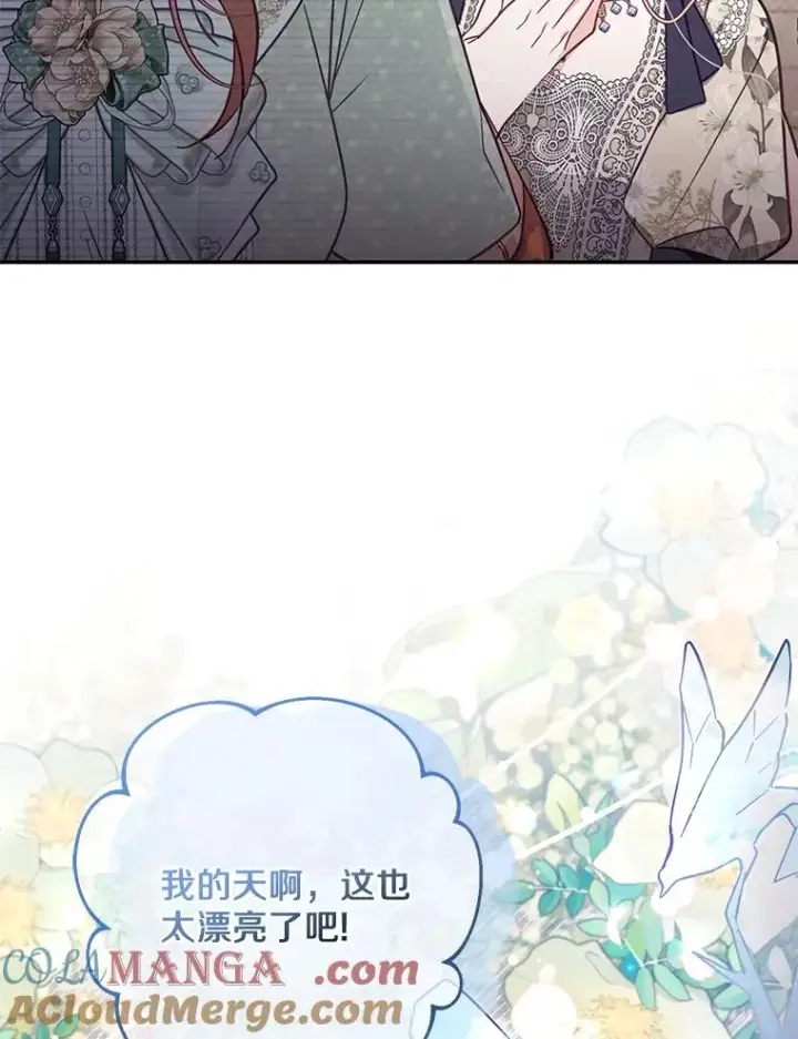 《冒牌皇女的生存之道》69.生日快乐图61
