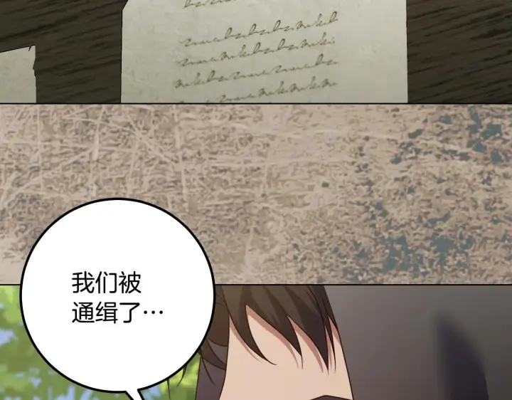 《冒牌圣女等待离场》第67话 通缉令图47