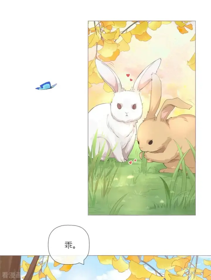 漫画《萌主人设又崩啦！》第35话 含情脉脉大特训第5张图