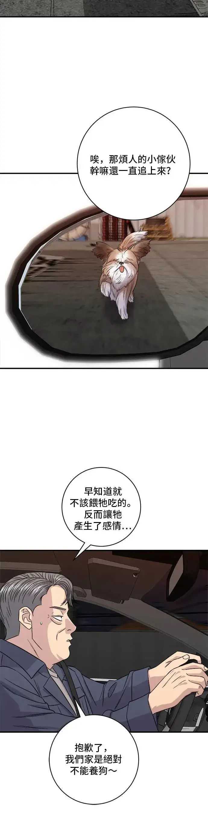 《米虫的一日三餐》第197话 南瓜图39