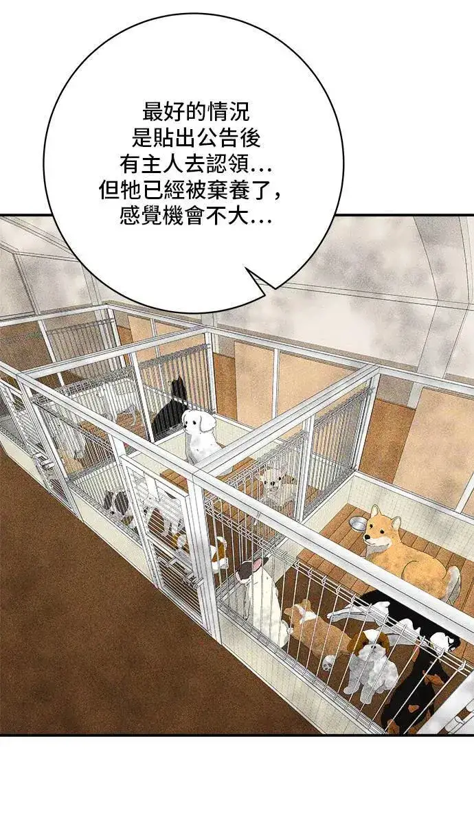 《米虫的一日三餐》第198话 番茄炒蛋图13