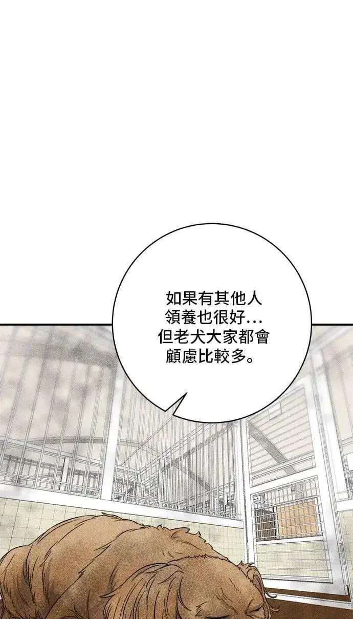 《米虫的一日三餐》第198话 番茄炒蛋图14