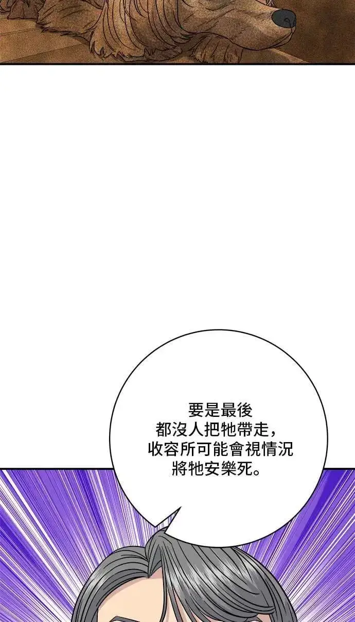 《米虫的一日三餐》第198话 番茄炒蛋图15