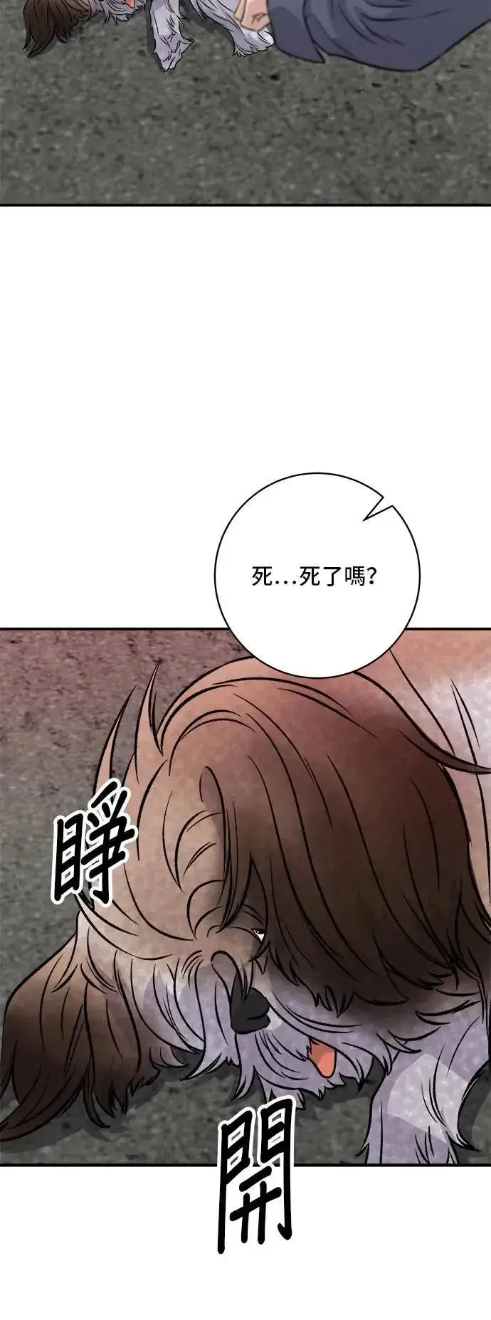 《米虫的一日三餐》第198话 番茄炒蛋图3